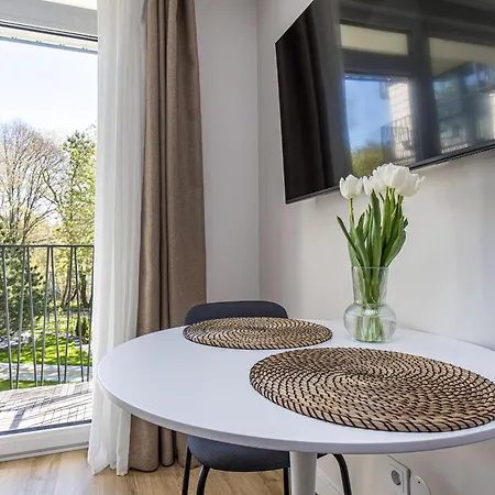 Apartment 206,