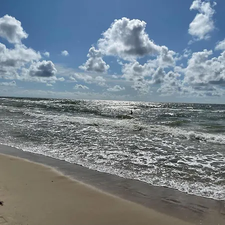 206, Palanga