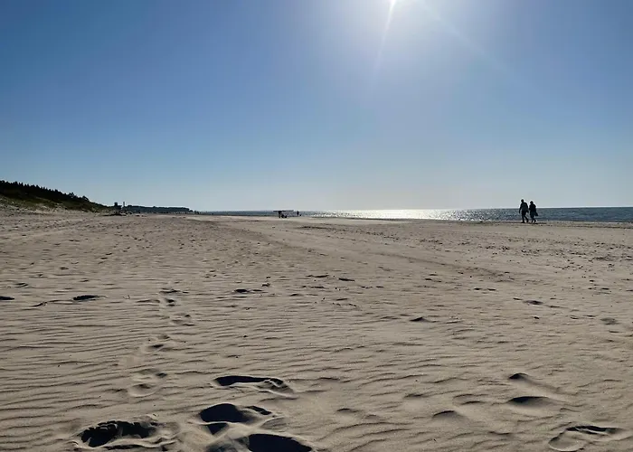 206, דירה פלאנגה